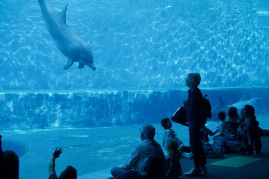 Acquario di Genova